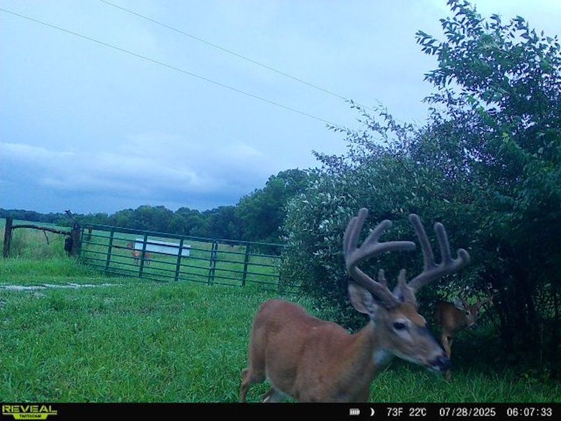 868032063364636-100-2-07282025060732-W1007393