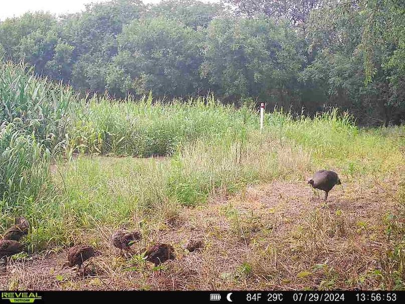 860322064829176-100-4-07292024135652-V-W1001098