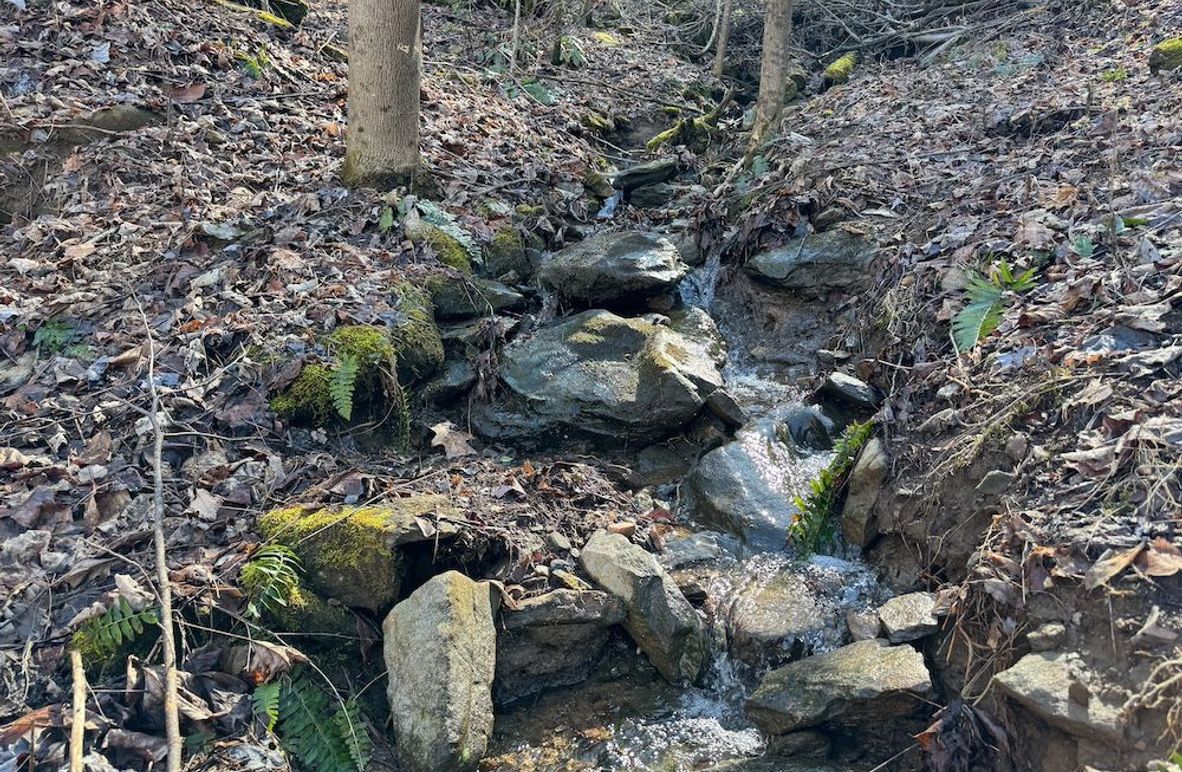 03_Clay 124.76 Fleaback-04