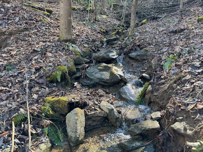 03_Clay 124.76 Fleaback-04