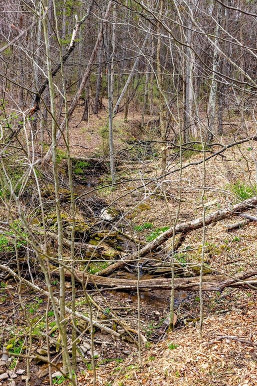 21-web-or-mls-IMG-21