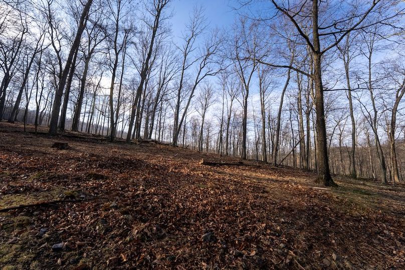 Copy of Hampshire WV 200 Featured_Pro Photo-43