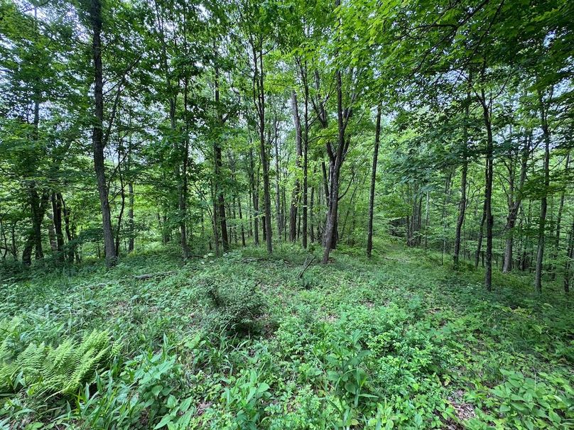 Pleasants, WV 168.59 AC Superior, Swank, Young-077