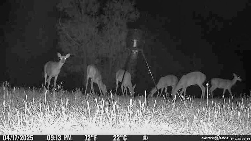 Ashley Co-40-Givens-51