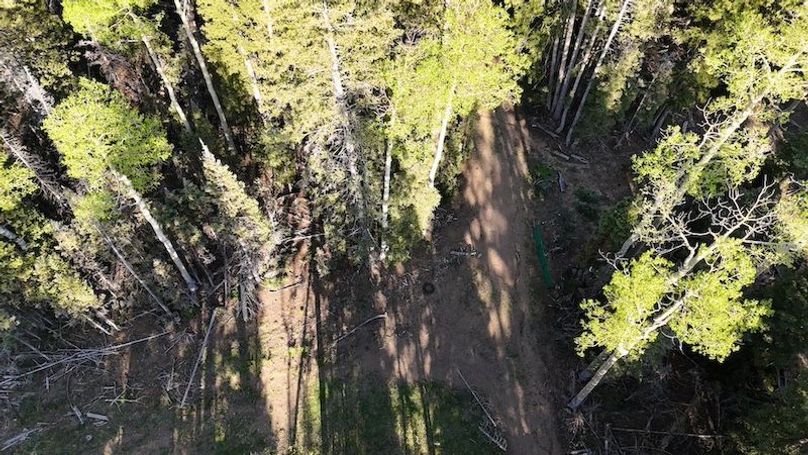 DJI_20250613191833_0040_D