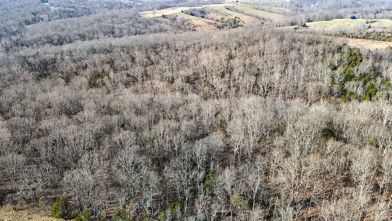 DJI_20260107134019_0004_D