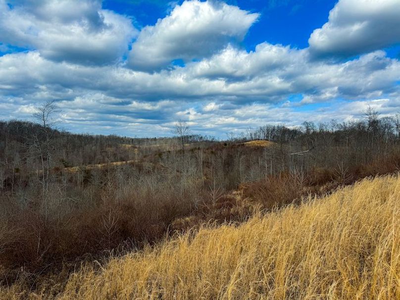 Doddridge, WV 79.08 AC Adams-47