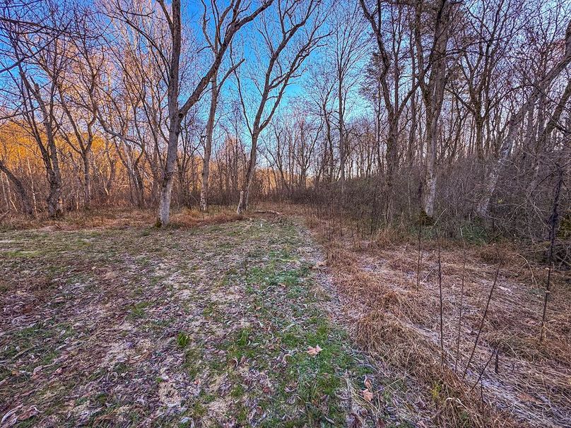 Pleasants_Wood 169.97 AC Cokeley-21