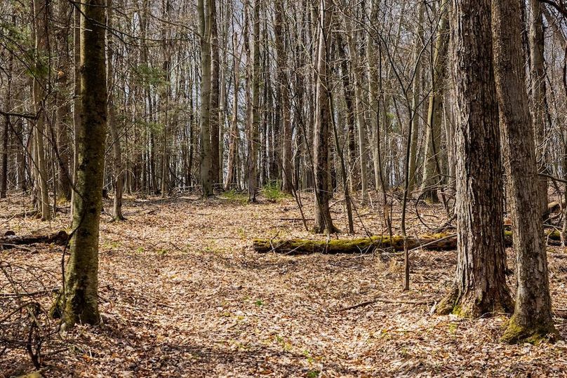 13-web-or-mls-IMG-13