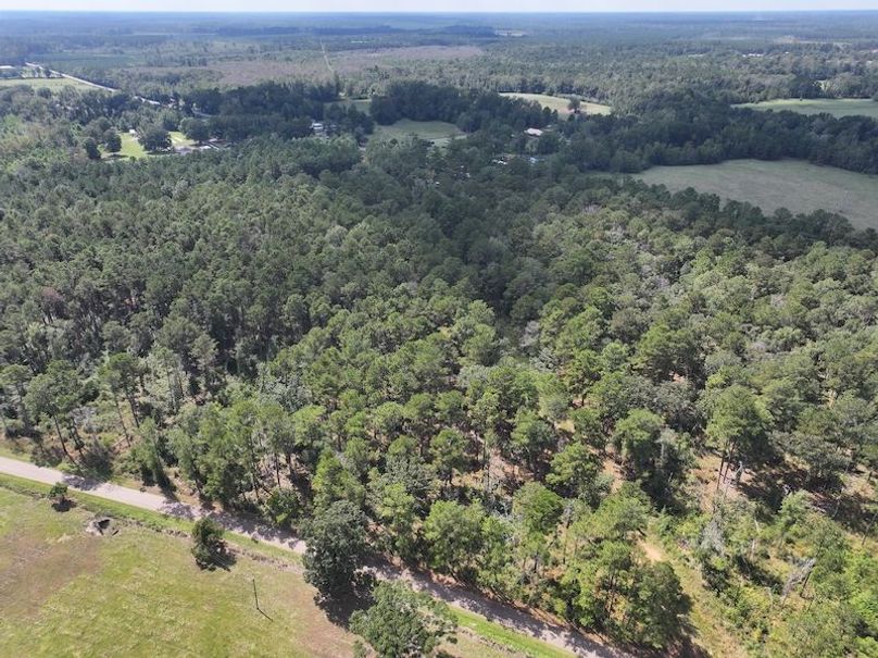 dji_fly_20250929_130756_0570_1759177334569_photo