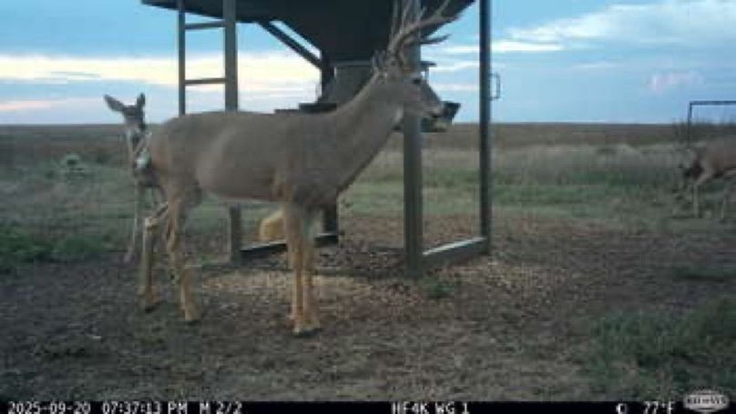 813489c13c897cd242022c84c6685c8d-small