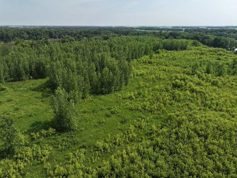 DJI_20240708111516_0215_D