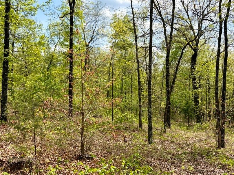 39E7B33B-7D72-48F6-B18B-0C69E4D44E6A_1_105_c-2