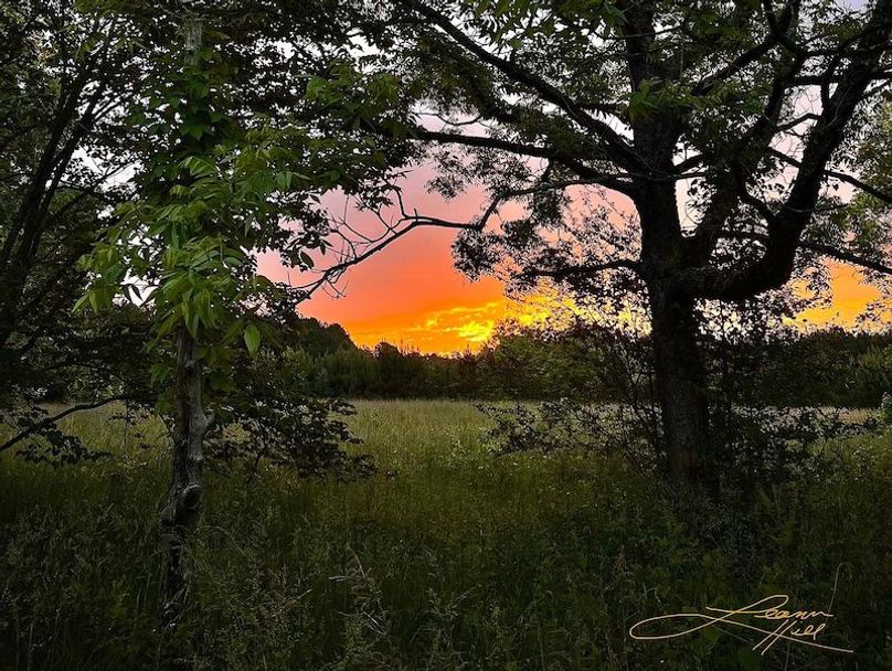 FB7F507C-9068-4282-BEAB-BB43ADD7CC03