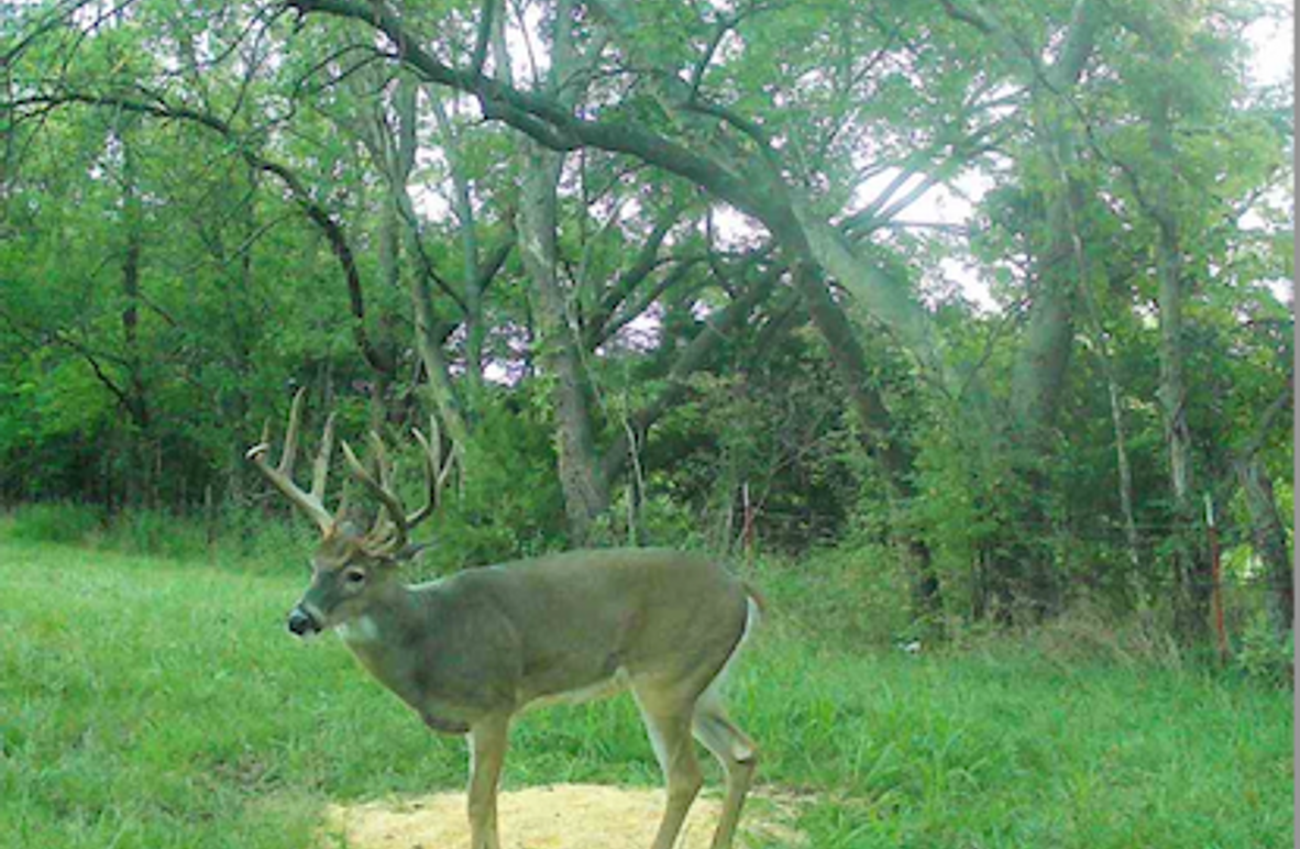 Screenshot 2025-09-23 at 10.29.47 AM