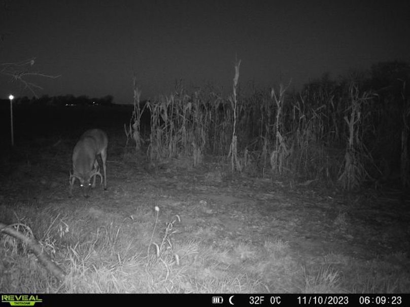 860322064829176-1-4-11102023060922-V-W1007454