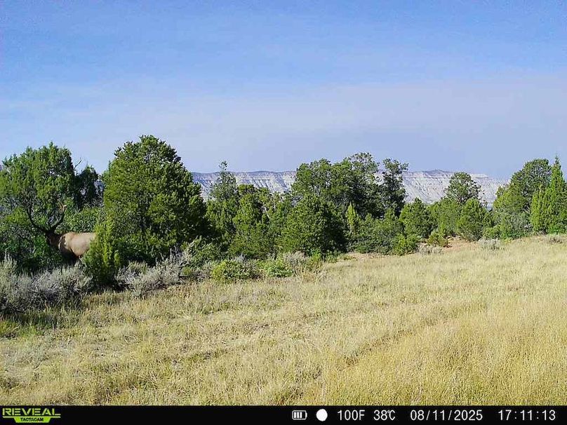 860516060101197-50-2-08112025171112-V-W1000779