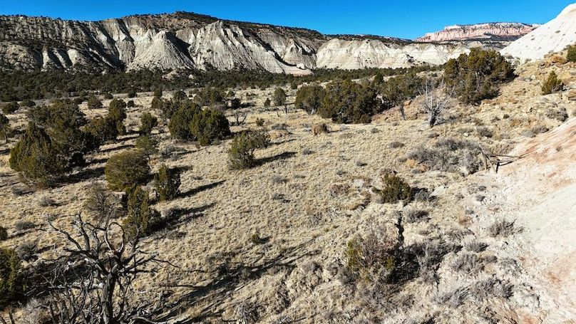 DJI_20241219101638_0052_D