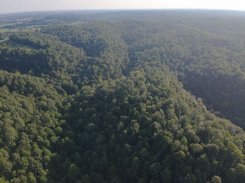 DJI_20250806185414_0013_W