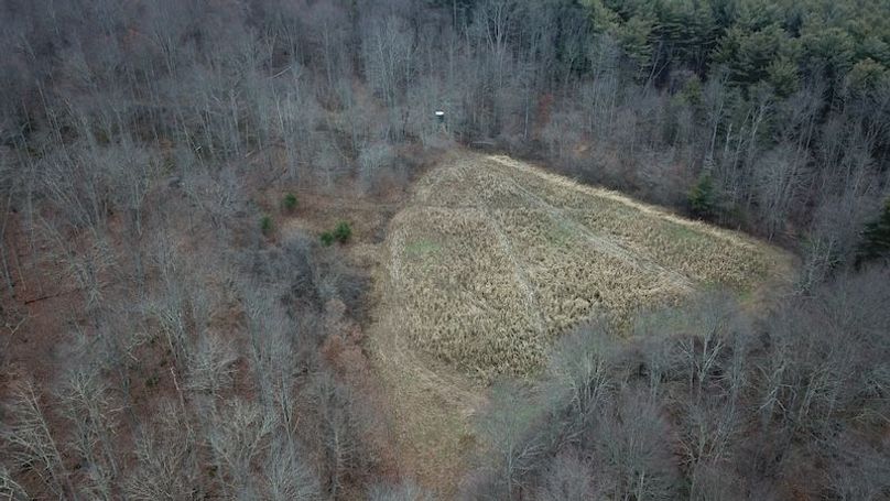 org_374ac86fffc48e2f_1767819966000