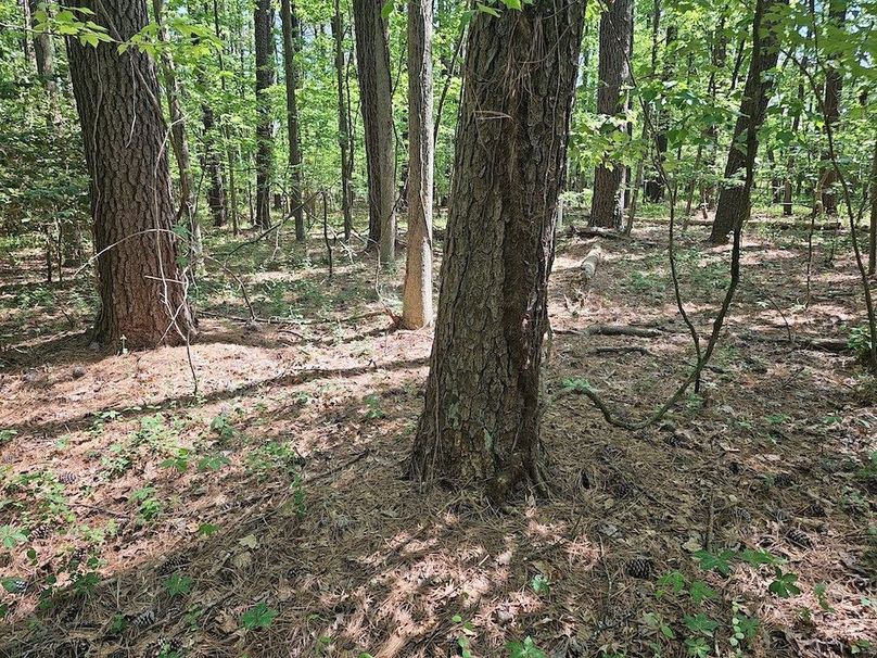 2.72ac_St Marys Rd_QAnnes_11