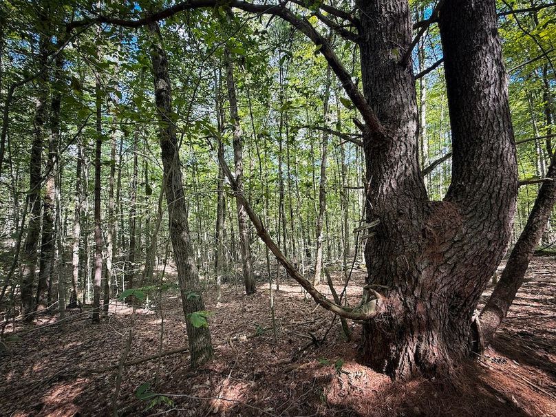 Tompkins_103.12_SusquehannaLandCo_Photos_7