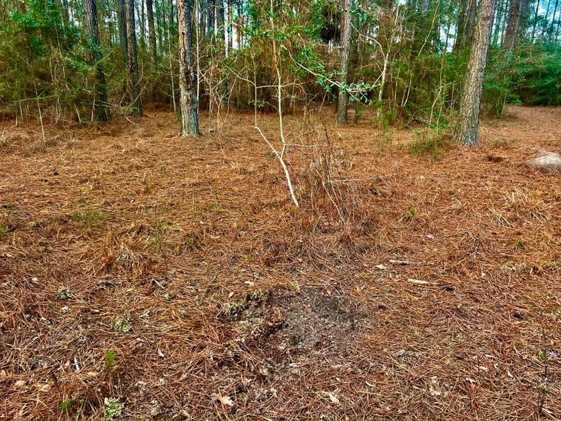 AD982D1C-E9AB-4442-8BB7-F84E39C007BC_1_201_a