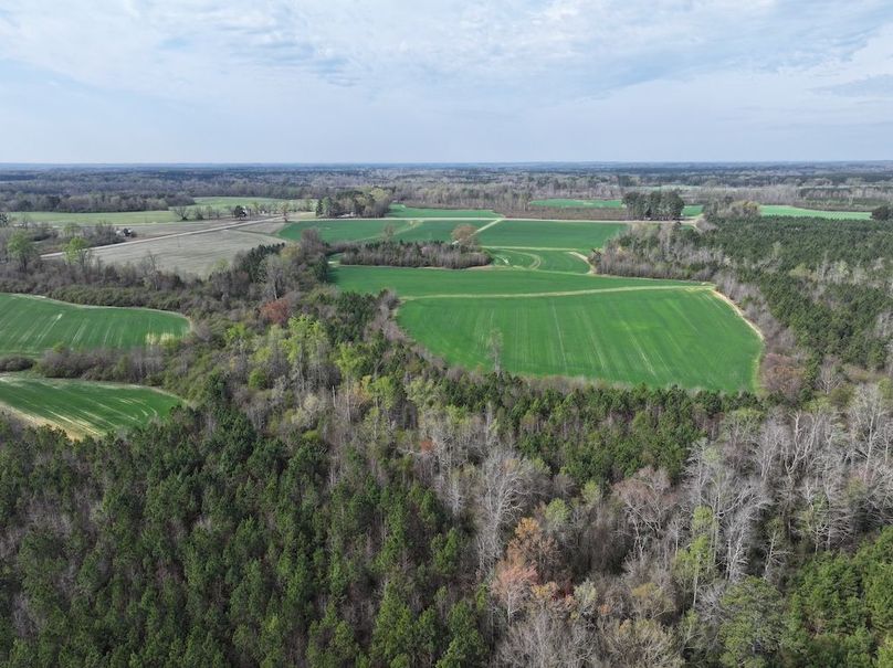 Copy of DJI_20260303064006_0561_D