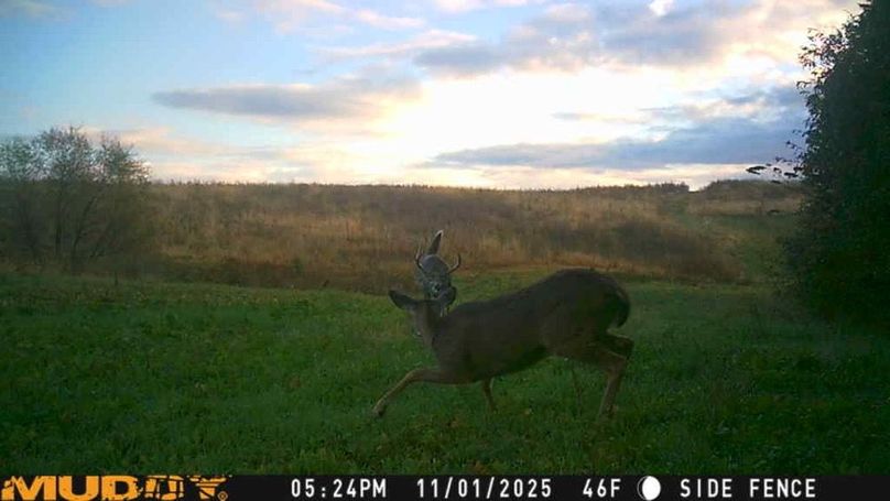 25110117242401004279_ColorizationType.none