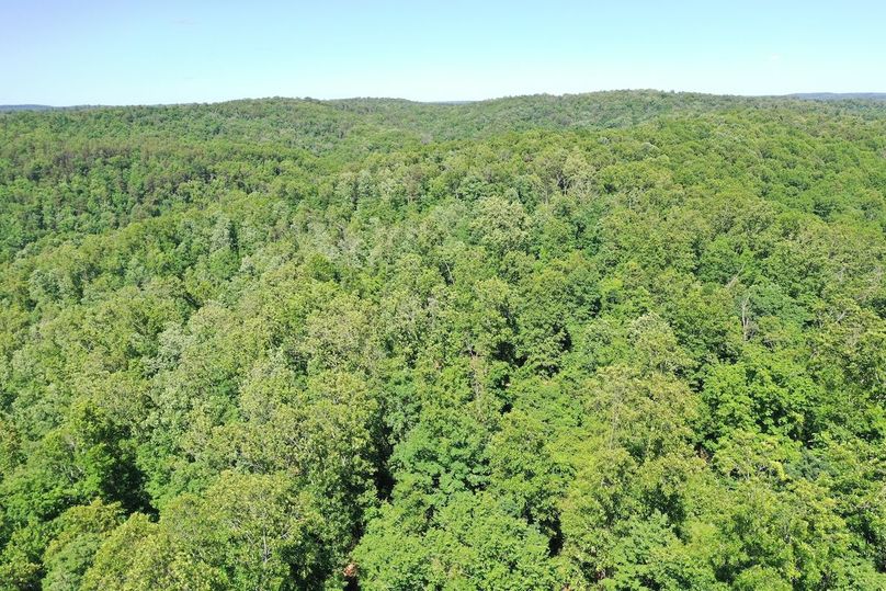 DJI_0956