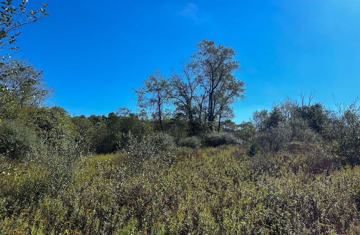 Print Scenic Property In Eastern Ohio Ideal For Hunting, Building