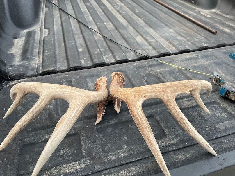 73033722990__A514F761-687F-49B4-BB66-95BC91E52FBF