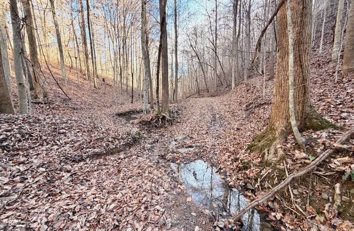 Roane Co TN 396 20251127_03