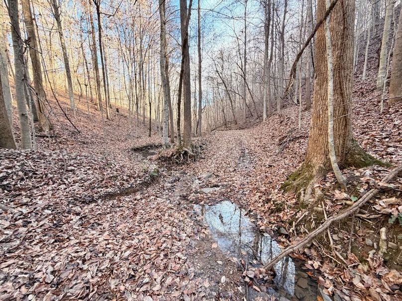 Roane Co TN 396 20251127_03