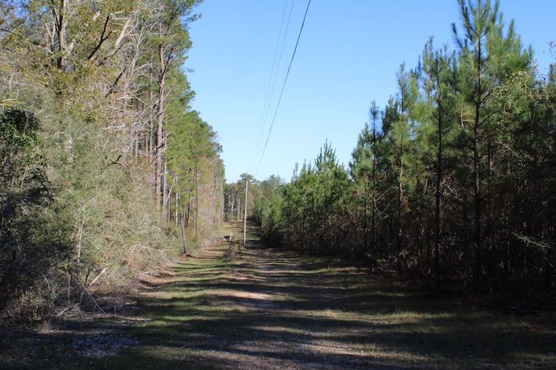 CE86A2D6-610A-4E50-93E4-8D52F6B825FA