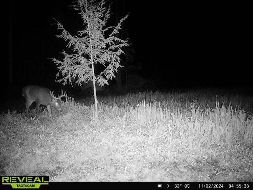 865814048724973-50-3-11022024045532-W1010807