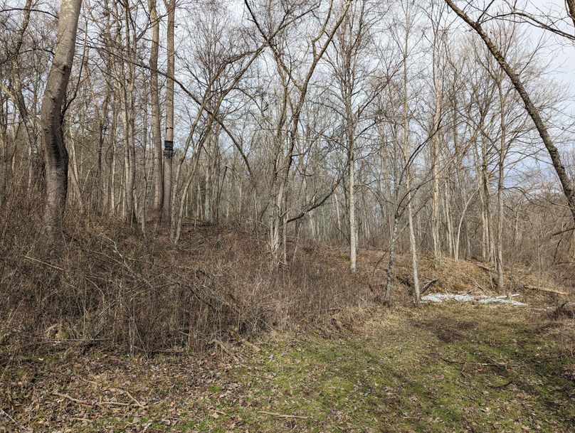 PXL_20230213_155739027