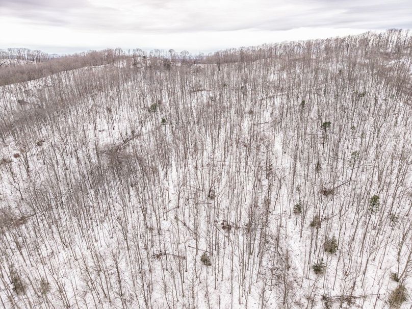 DJI_20260116111430_0006_D