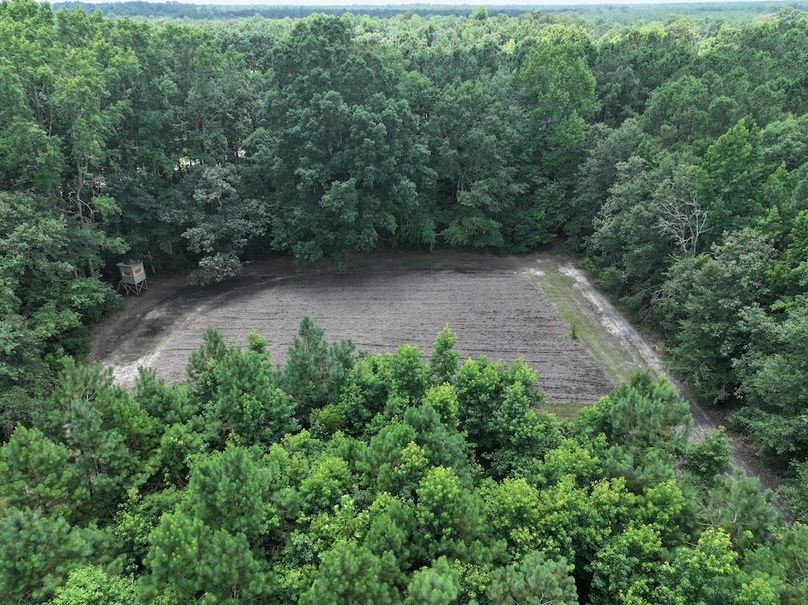 DJI_20250712130616_0137_D