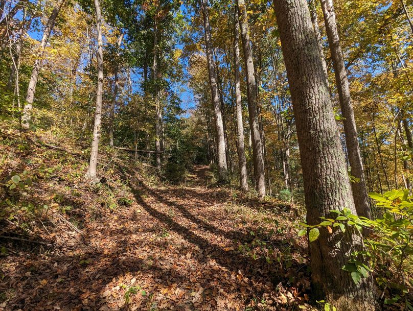 PXL_20231004_164931771