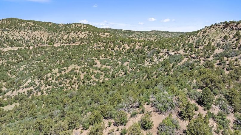 DJI_20250611125158_0178_D