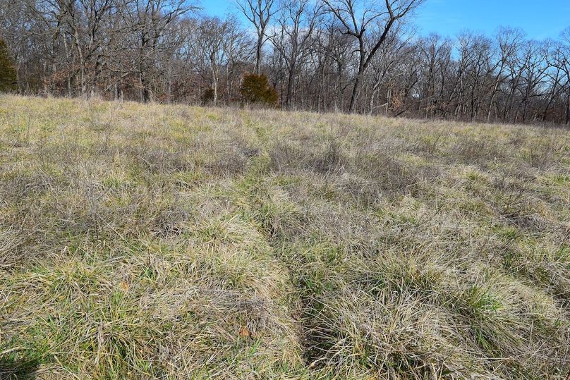 DSC_0292_inPixio (2)