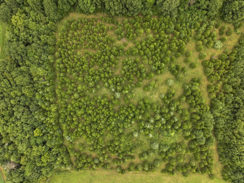 DJI_20230815082522_0017_D