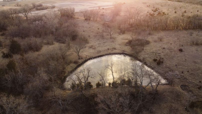 MONTGOMERY CO IA 156.78_36