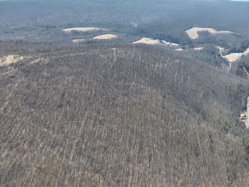 DJI_20250304115045_0016_V