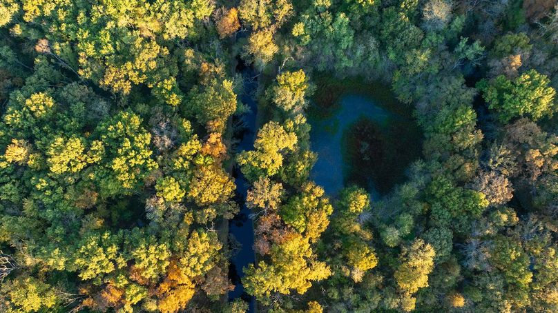 DJI_20251021185405_0006_D