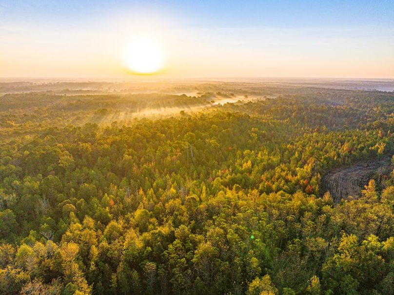 Clay 302.7 Henderson-64