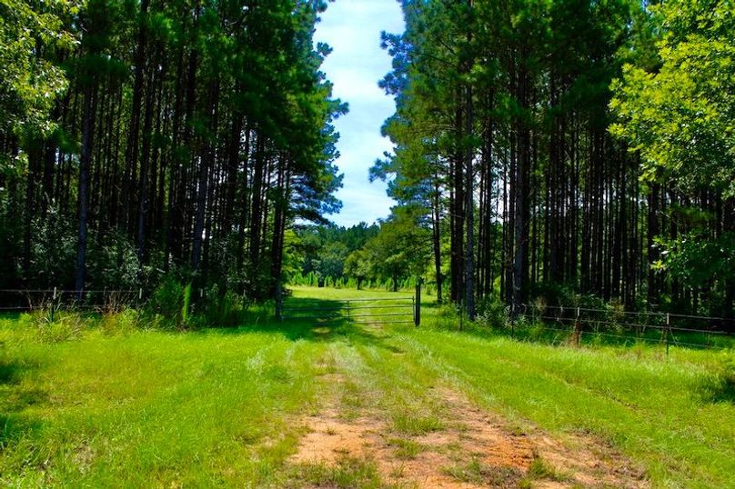 8FE10D35-C779-4152-974D-A577E716E99C_1_105_c