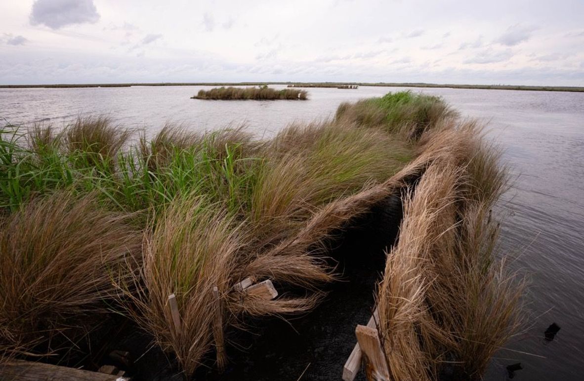 Cameron Parish LA 3,556 Pro Photo-59