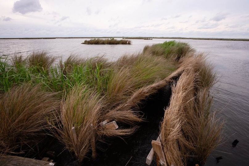 Cameron Parish LA 3,556 Pro Photo-59